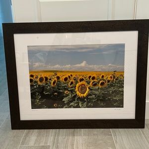 Original Robert Green Photography - Sunflowers